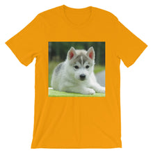Puppy t-shirt