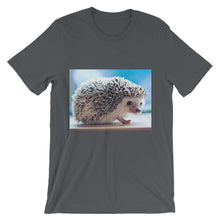 Hedgehog t-shirt