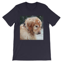 Dog t-shirt