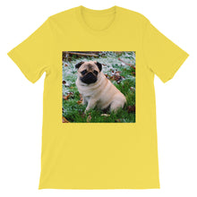 Pug t-shirt