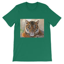 Tiger t-shirt