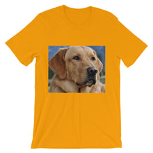 Dog t-shirt