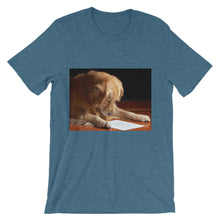 Reading Dog t-shirt