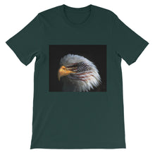 American Eagle t-shirt
