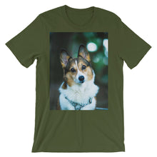 Corgi t-shirt
