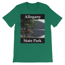 Allegany State Park t-shirt
