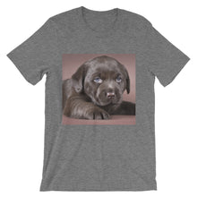 Puppy t-shirt