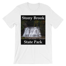 Stony Brook t-shirt