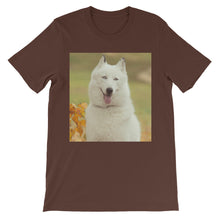 Dog t-shirt