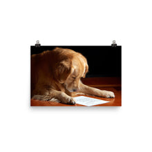 Dog Reading poster