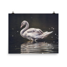 Swan poster