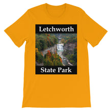 Letchworth t-shirt