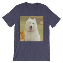 Dog t-shirt