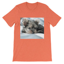 Yorkie Puppy t-shirt