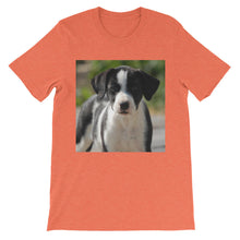 Dog t-shirt
