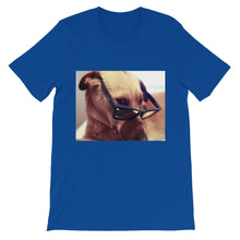 Dog with glasses t-shirt