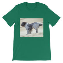 Dog t-shirt