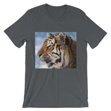 Tiger t-shirt