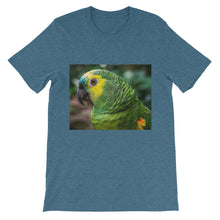 Macaw t-shirt