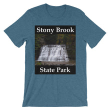Stony Brook t-shirt