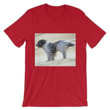 Dog t-shirt