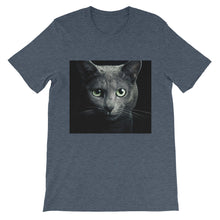 Cat t-shirt