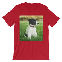 Puppy t-shirt
