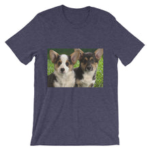 Corgis t-shirt