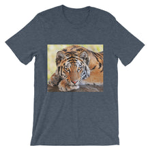 Tiger t-shirt