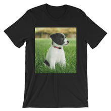 Puppy t-shirt