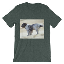 Dog t-shirt