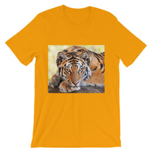 Tiger t-shirt