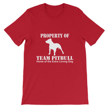 Property of Team Pitbull t-shirt