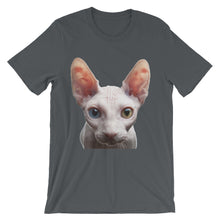 Cat t-shirt