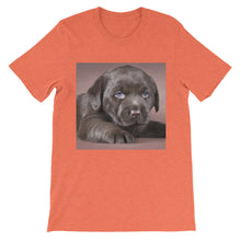 Puppy t-shirt