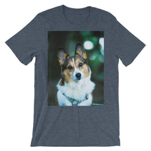 Corgi t-shirt