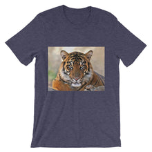 Tiger t-shirt
