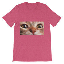 Cat t-shirt