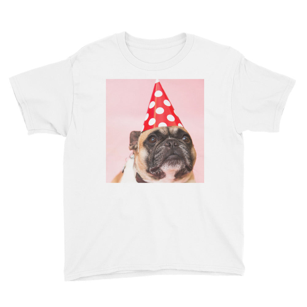 Birthday Pug Youth Short Sleeve T-Shirt