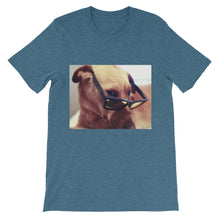 Dog with glasses t-shirt