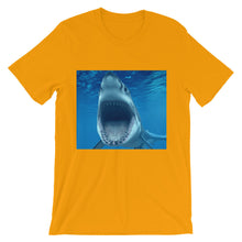 Shark t-shirt