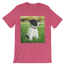 Puppy t-shirt