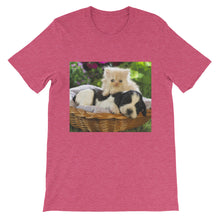 Kitten and Puppy t-shirt