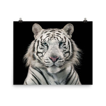White Tiger poster