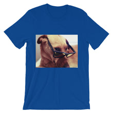 Dog with glasses t-shirt