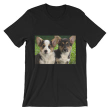 Corgis t-shirt