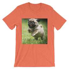 Pug t-shirt