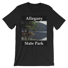 Allegany State Park t-shirt