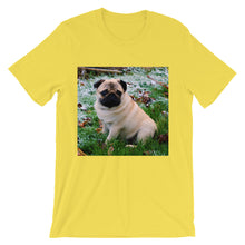 Pug t-shirt