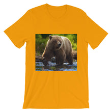Bear t-shirt